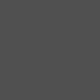 Dark Gray Sectional Couch