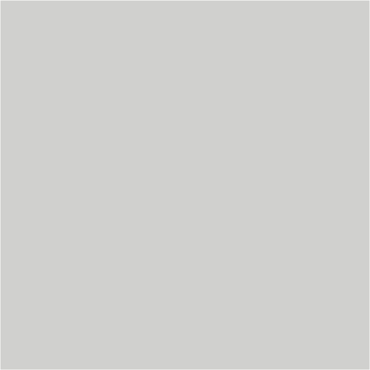 Light Gray Sectional Couch